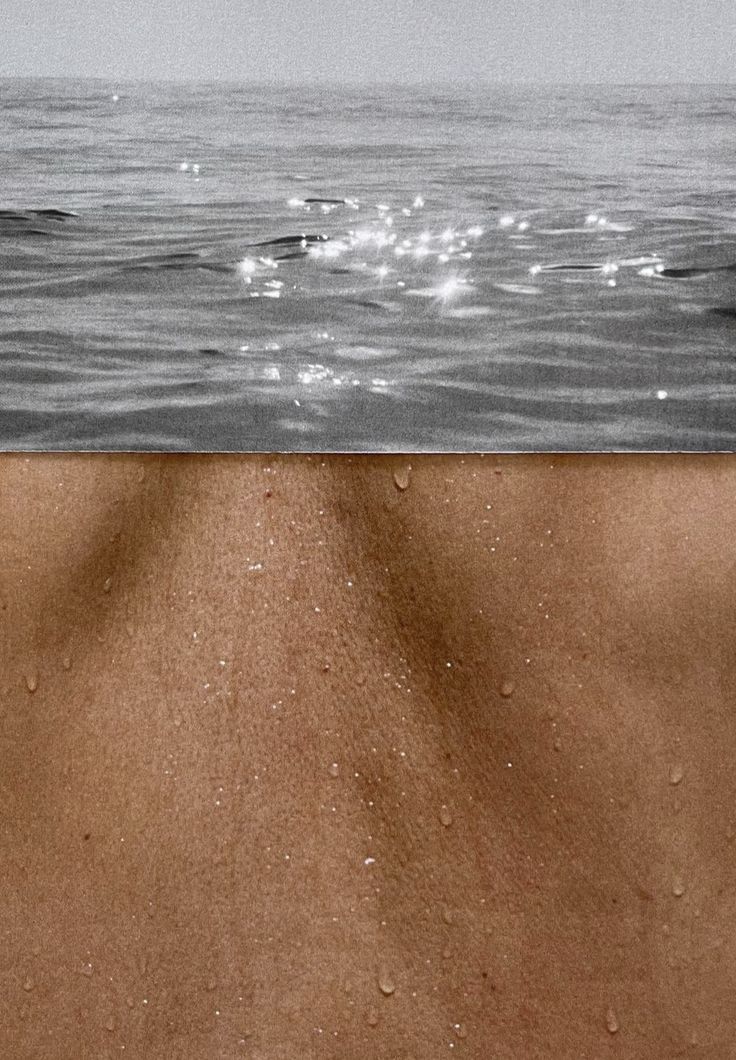 Arquitectura de la seducción