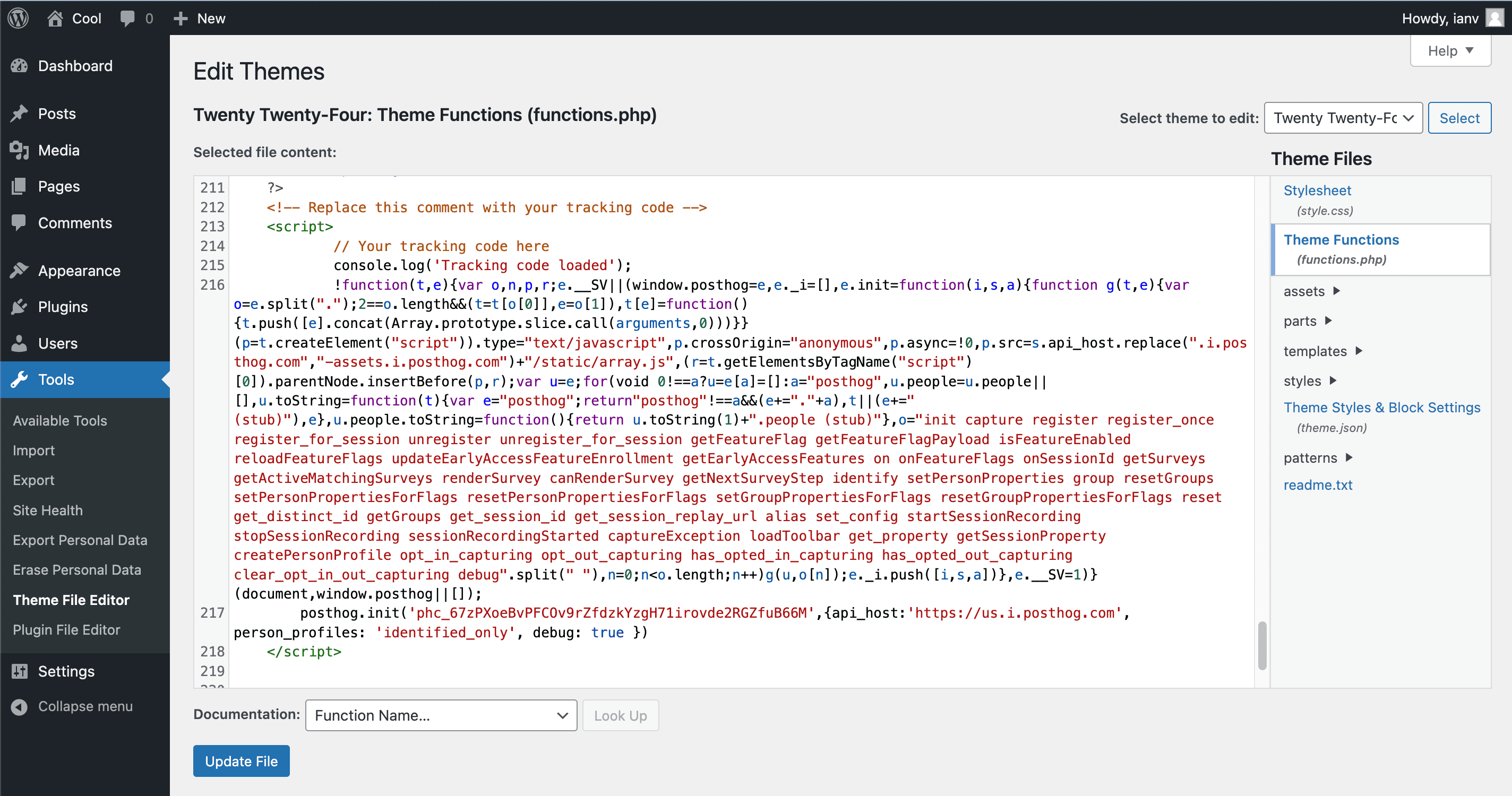WordPress Theme Filter Editor