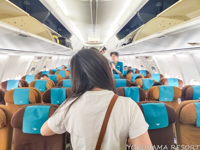 ジャカルタ発バリ島行きの機内