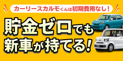 カーリースカルモくん バナー