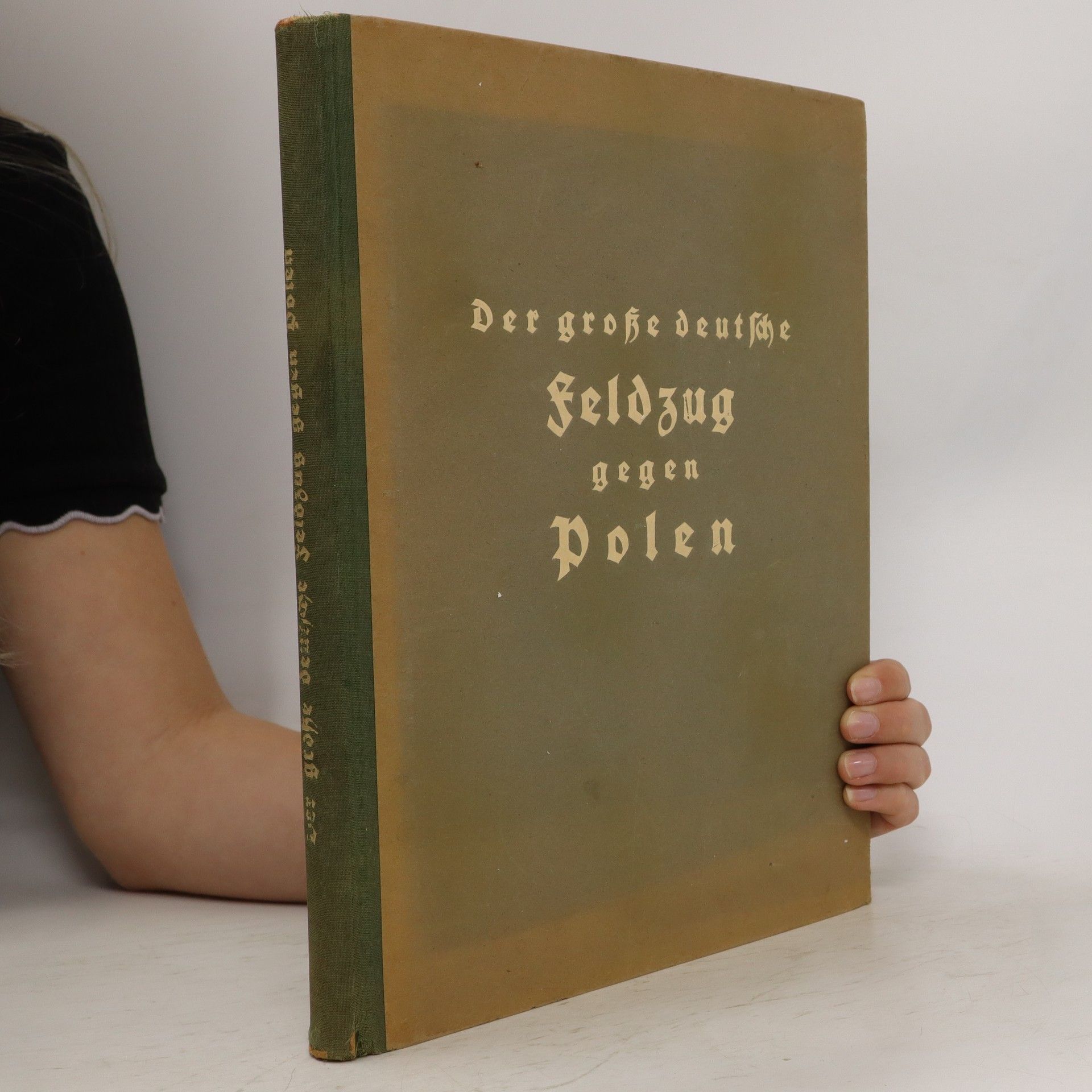 Der grosse deutsche Feldzug gegen Polen