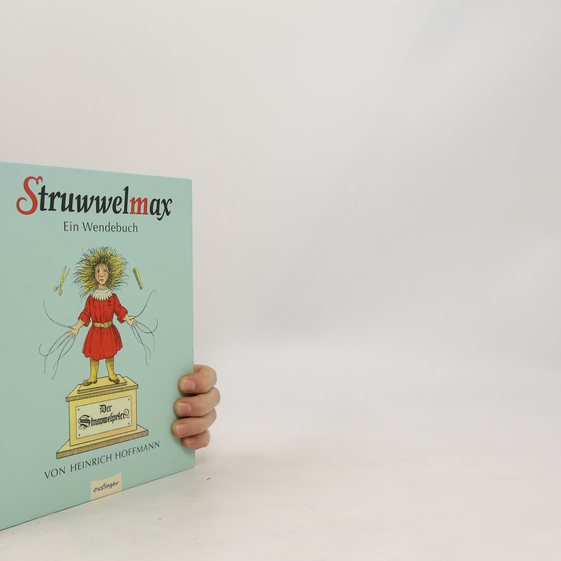 Struwwelmax - ein Wendebuch