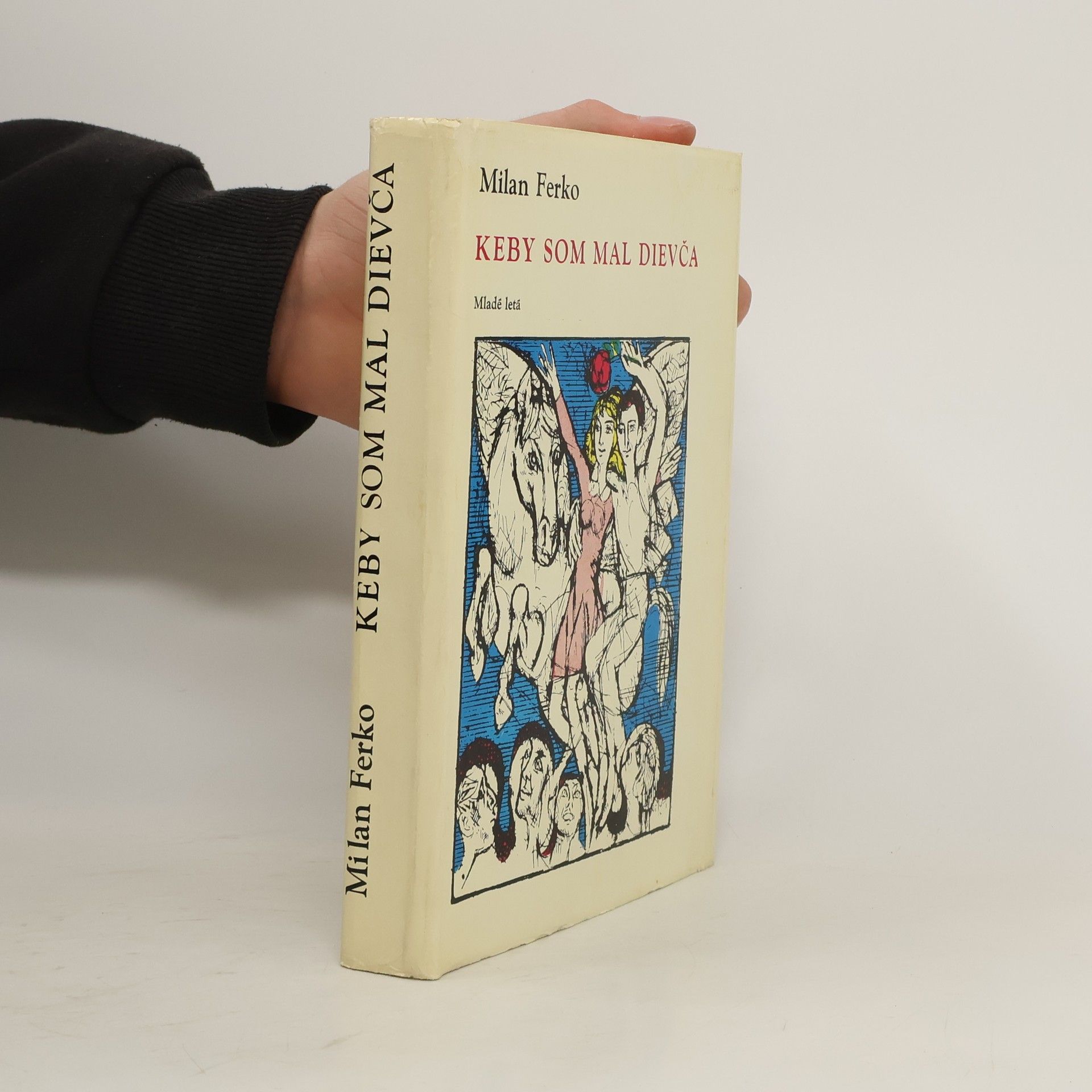 Keby som mal dievča