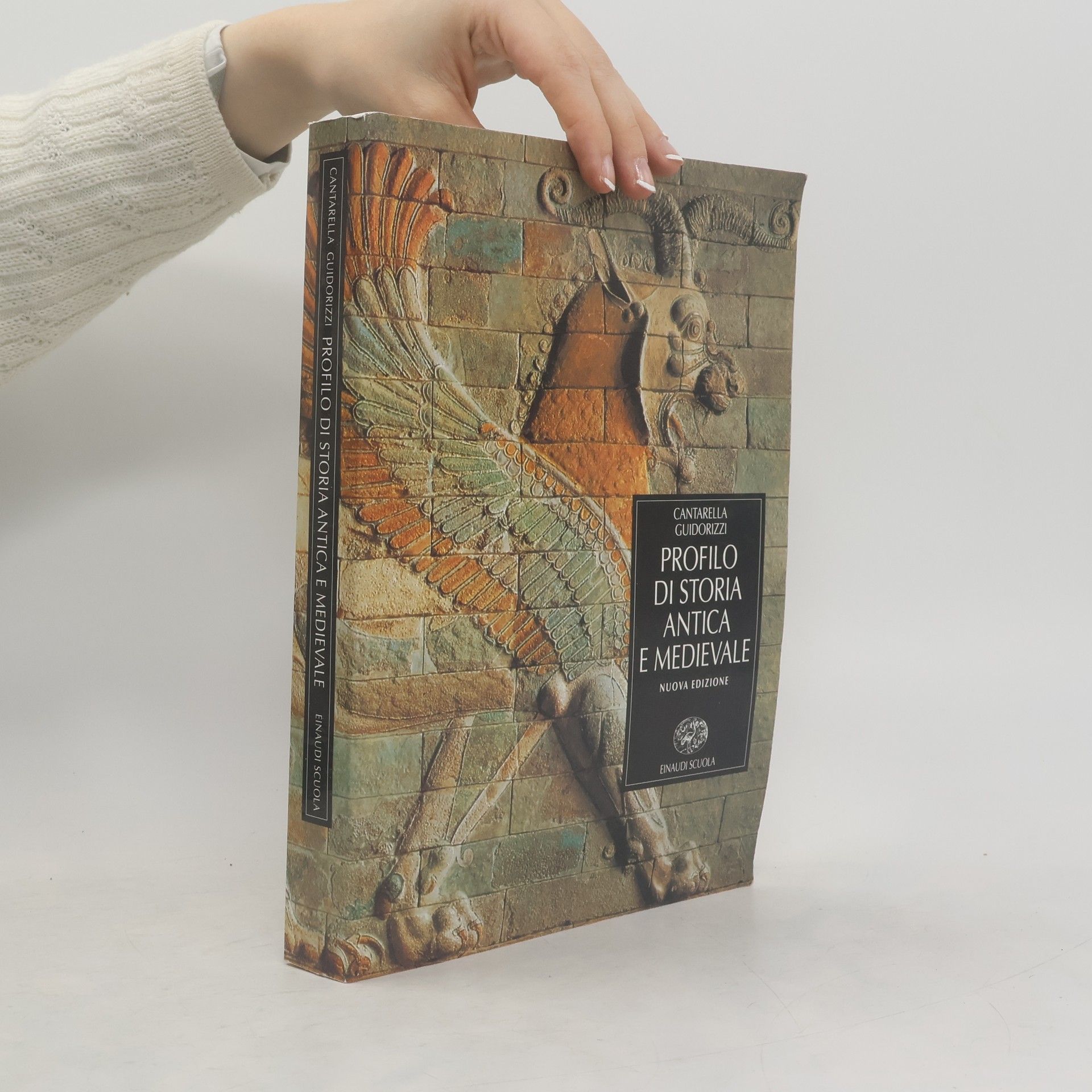 Profilo di storia antica e medievale: Dalle origini dell'umanità al tardo Medioevo