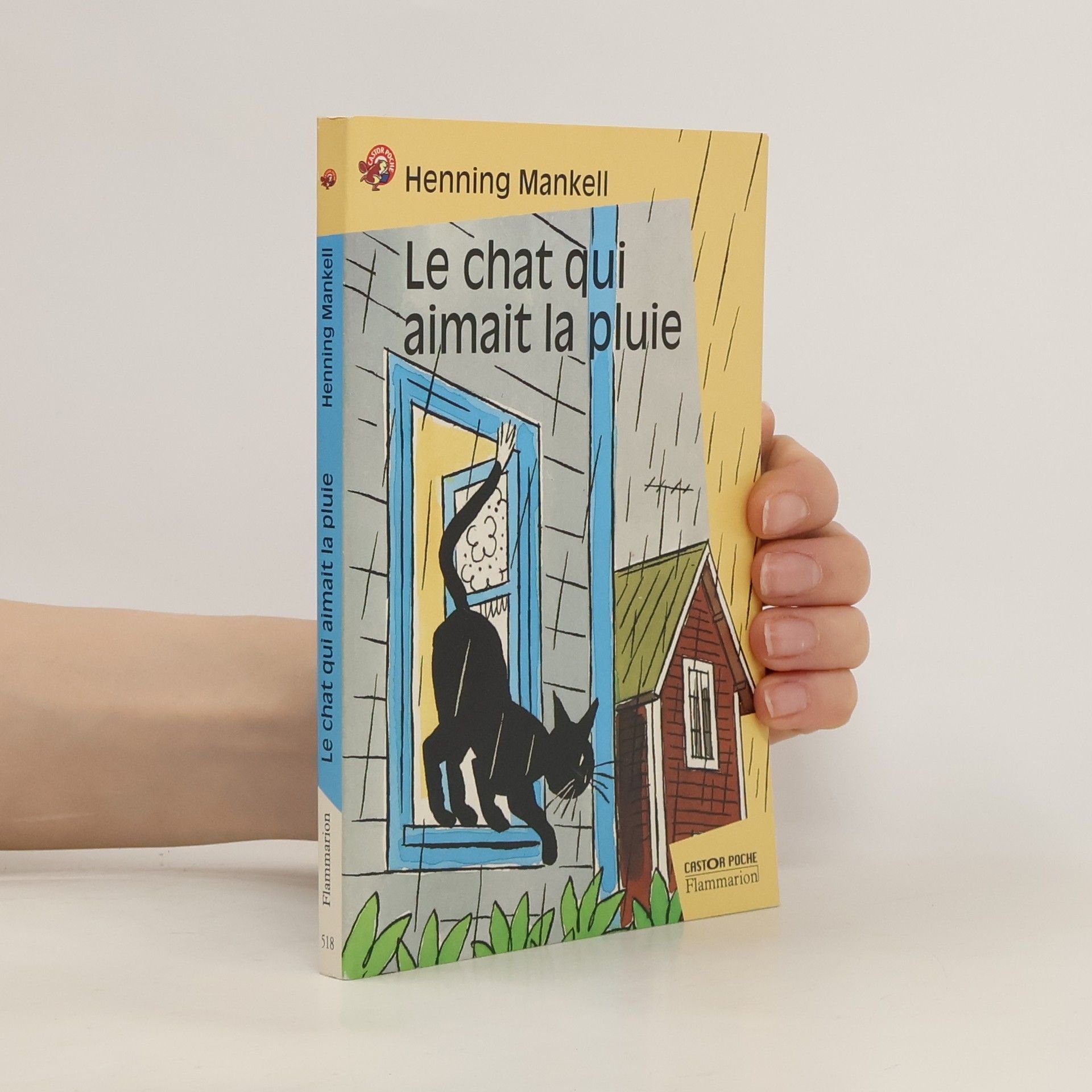 Le chat qui aimait la pluie