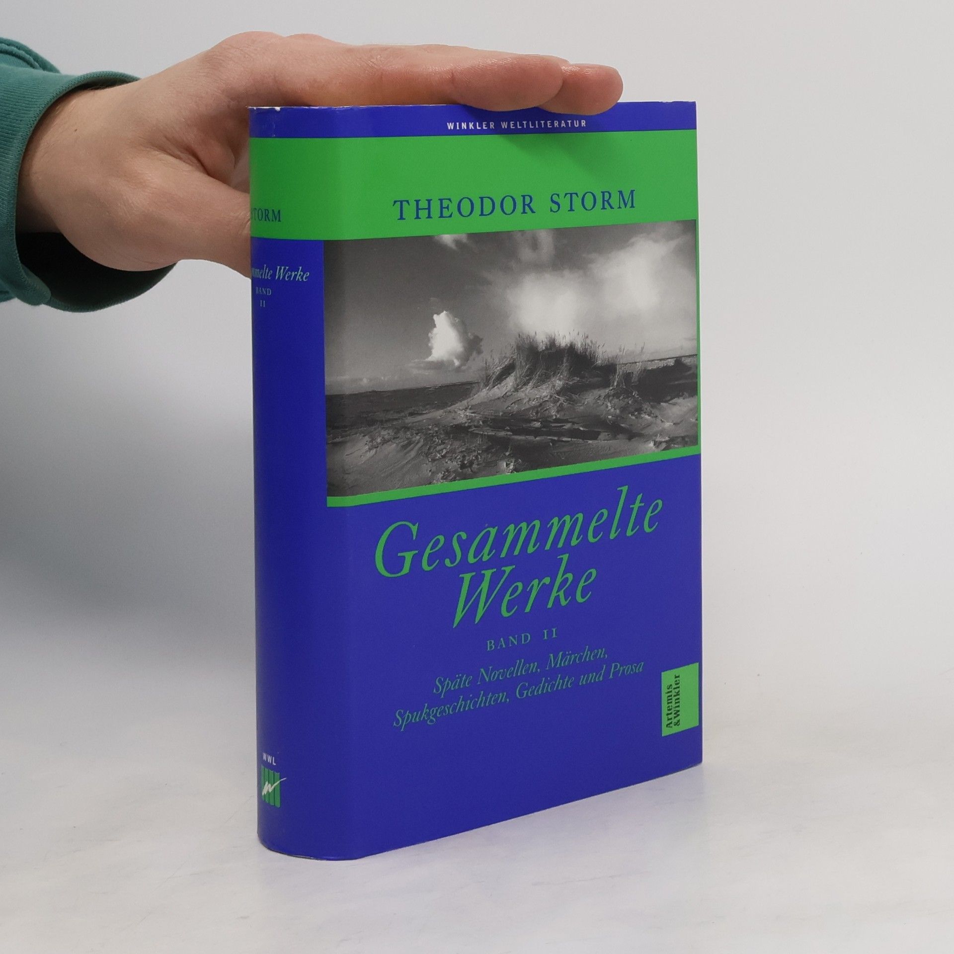 Späte Novellen, Märchen, Spukgeschichten, Gedichte und Prosa. Späte Novellen, Märchen, Spukgeschichten, Gedichte und Prosa