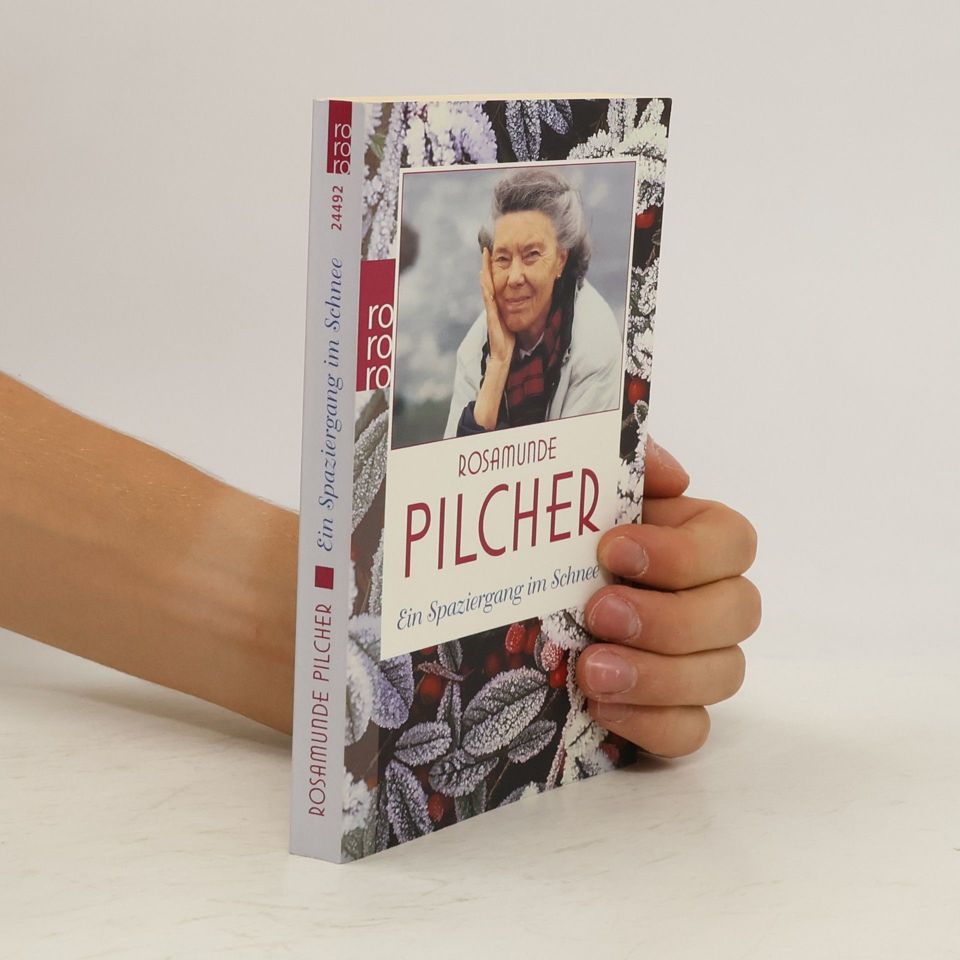 Ein Spaziergang im Schnee