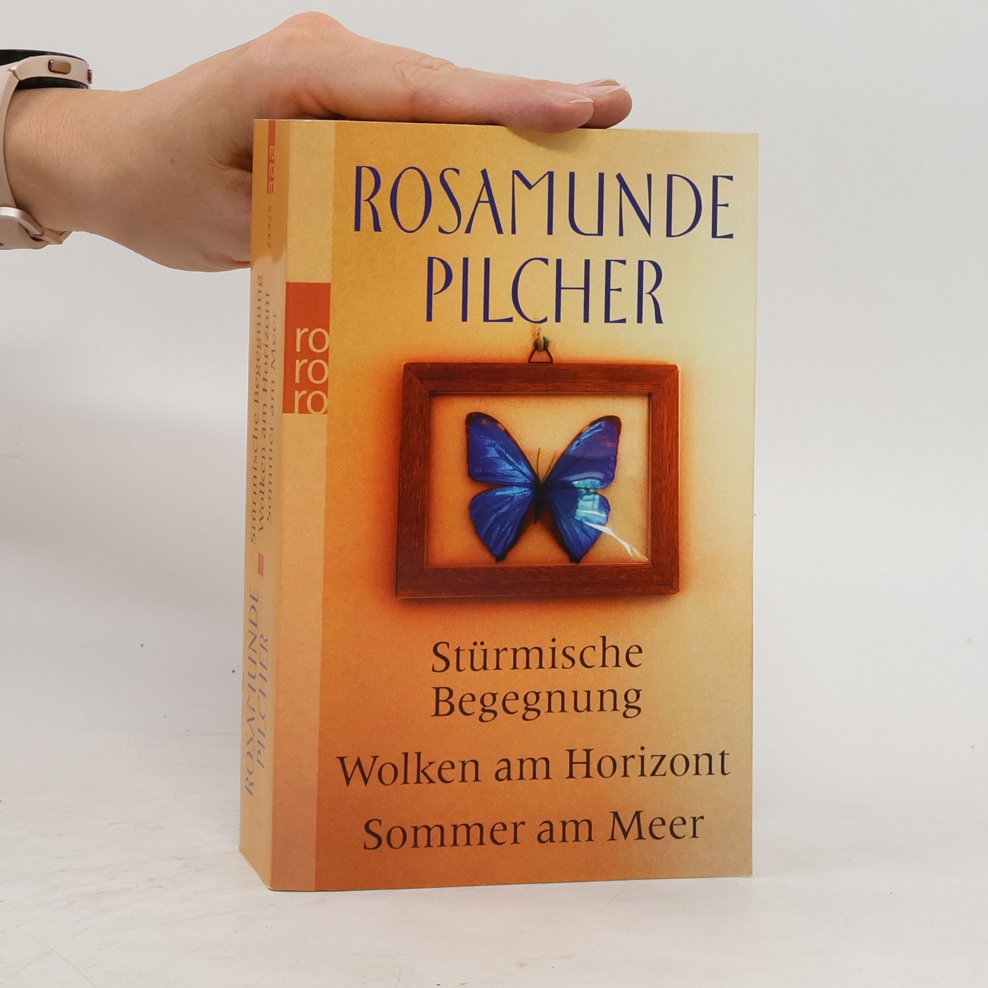 Stürmische Begegnung. Wolken am Horizont. Sommer am Meer. Drei Romane