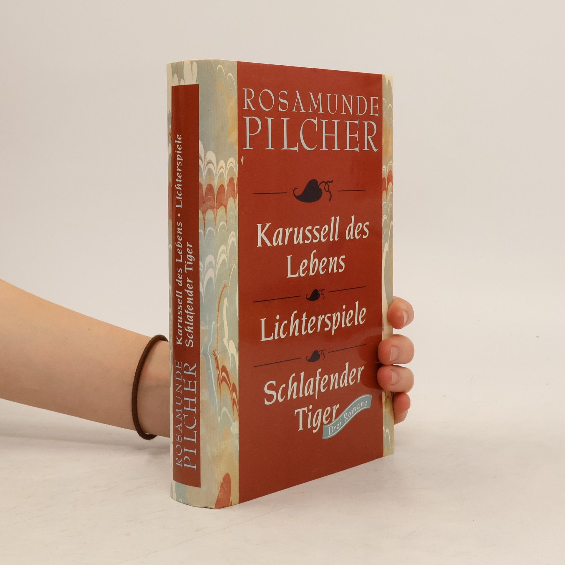 Karussell des Lebens. Lichterspiele. Schlafender Tiger