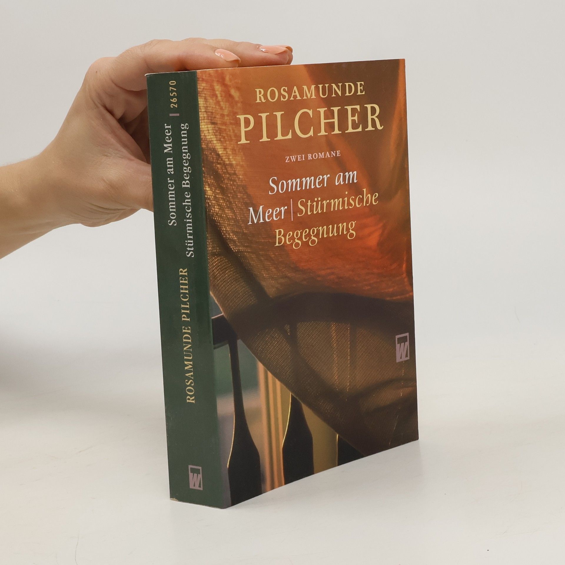 Sommer am Meer/Stürmische Begegnung