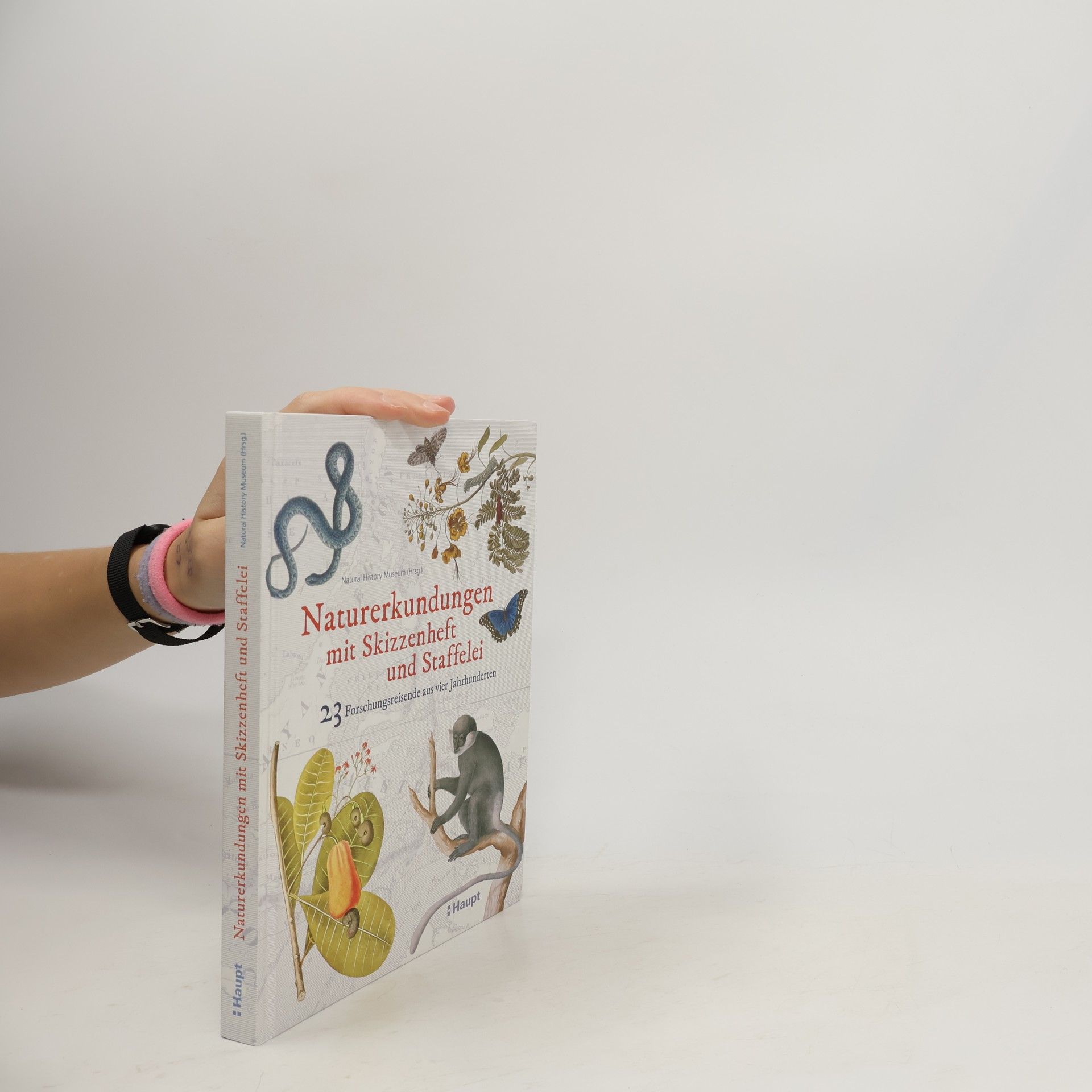Naturerkundungen mit Skizzenheft und Staffelei