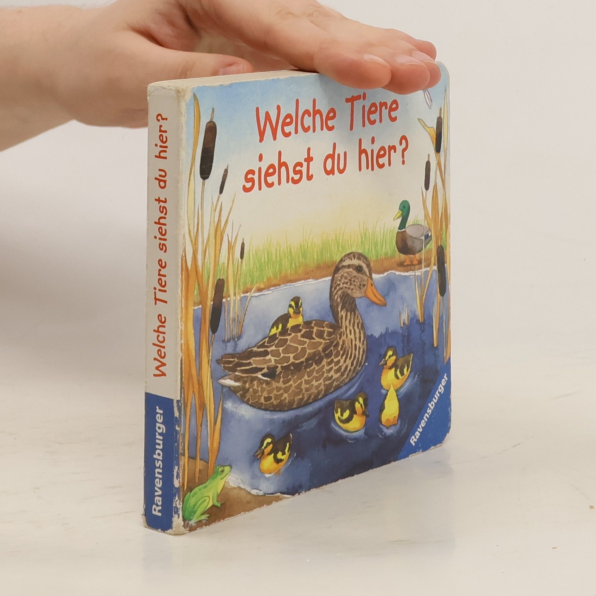 Welche Tiere siehst du hier?