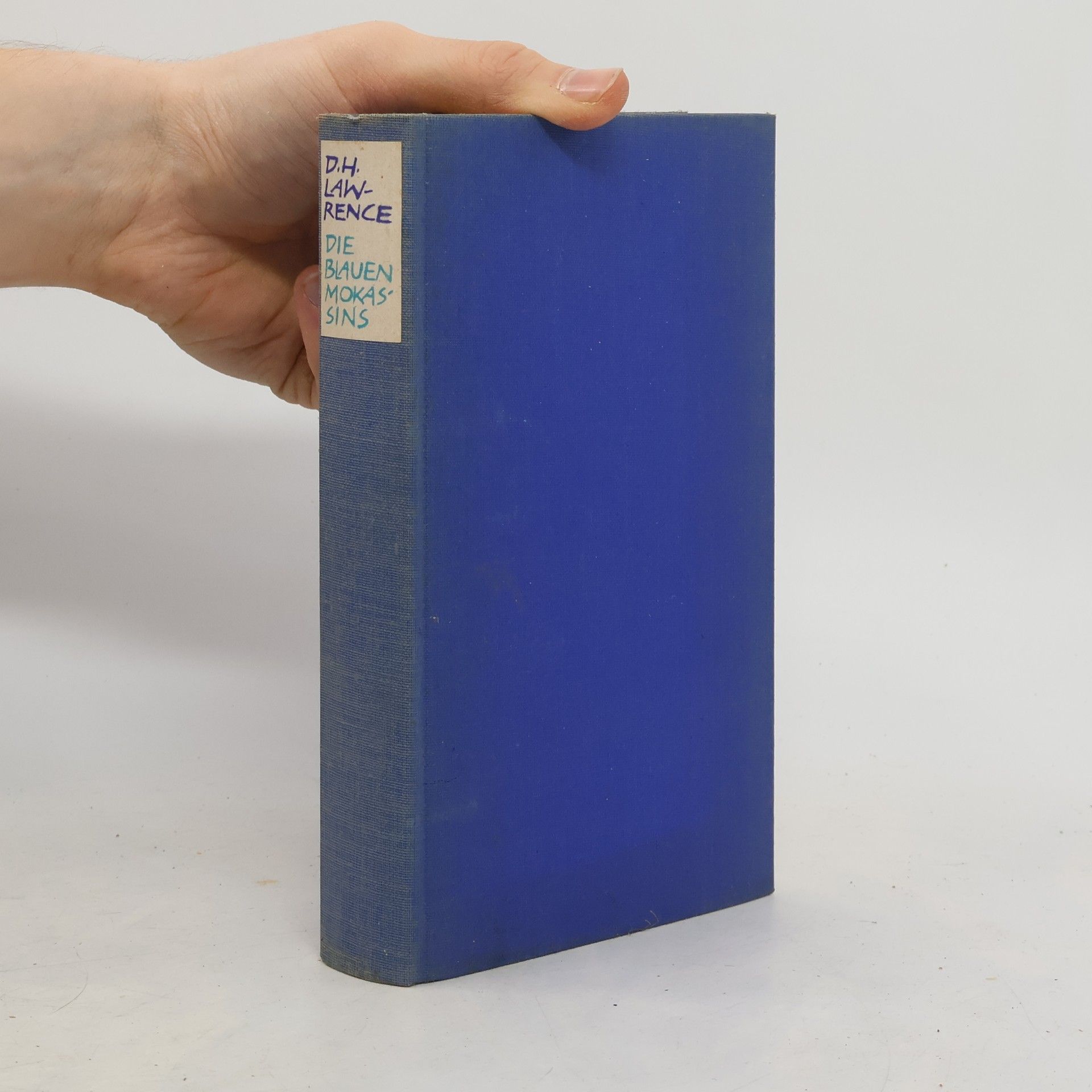 Die blauen Mokassins