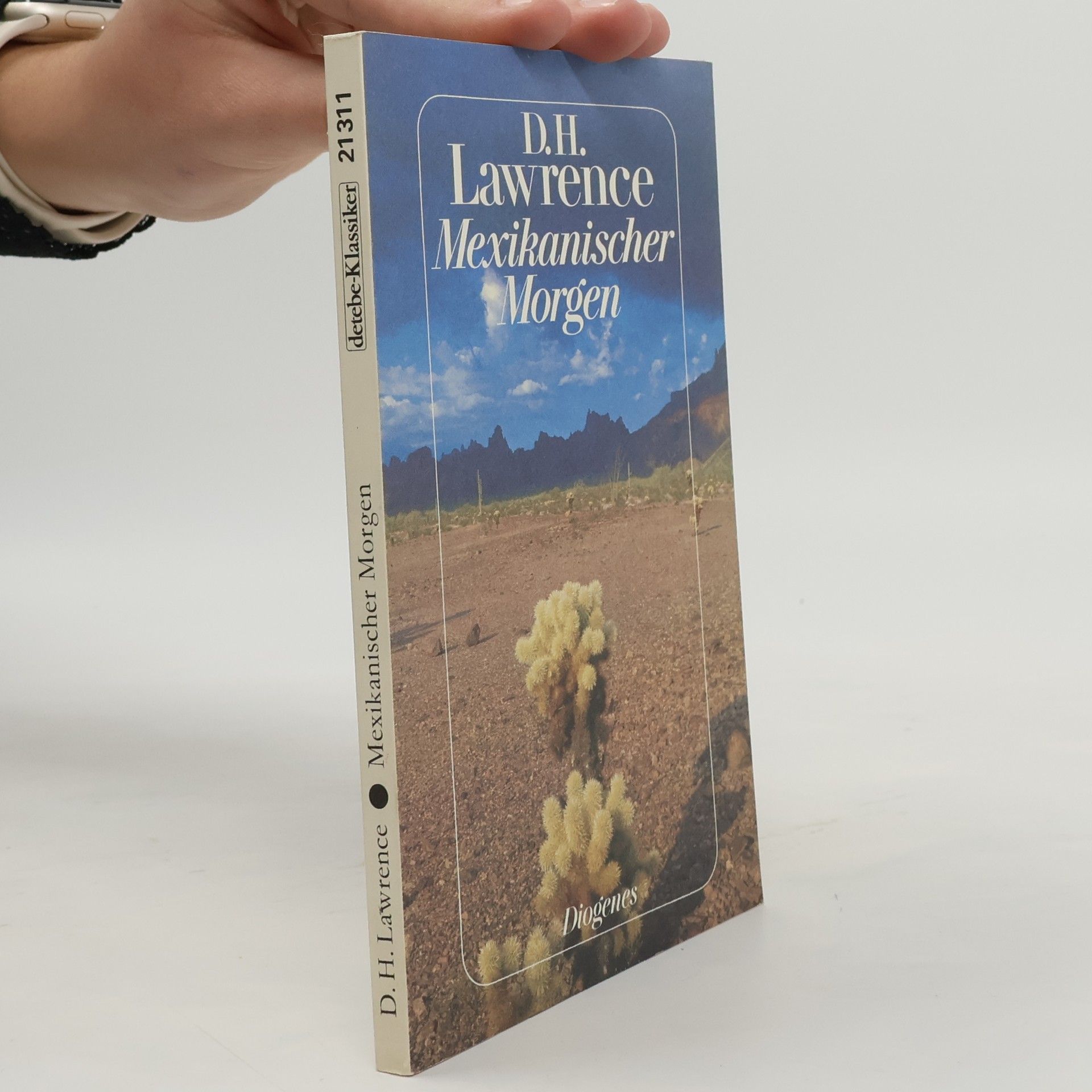 Mexikanischer Morgen