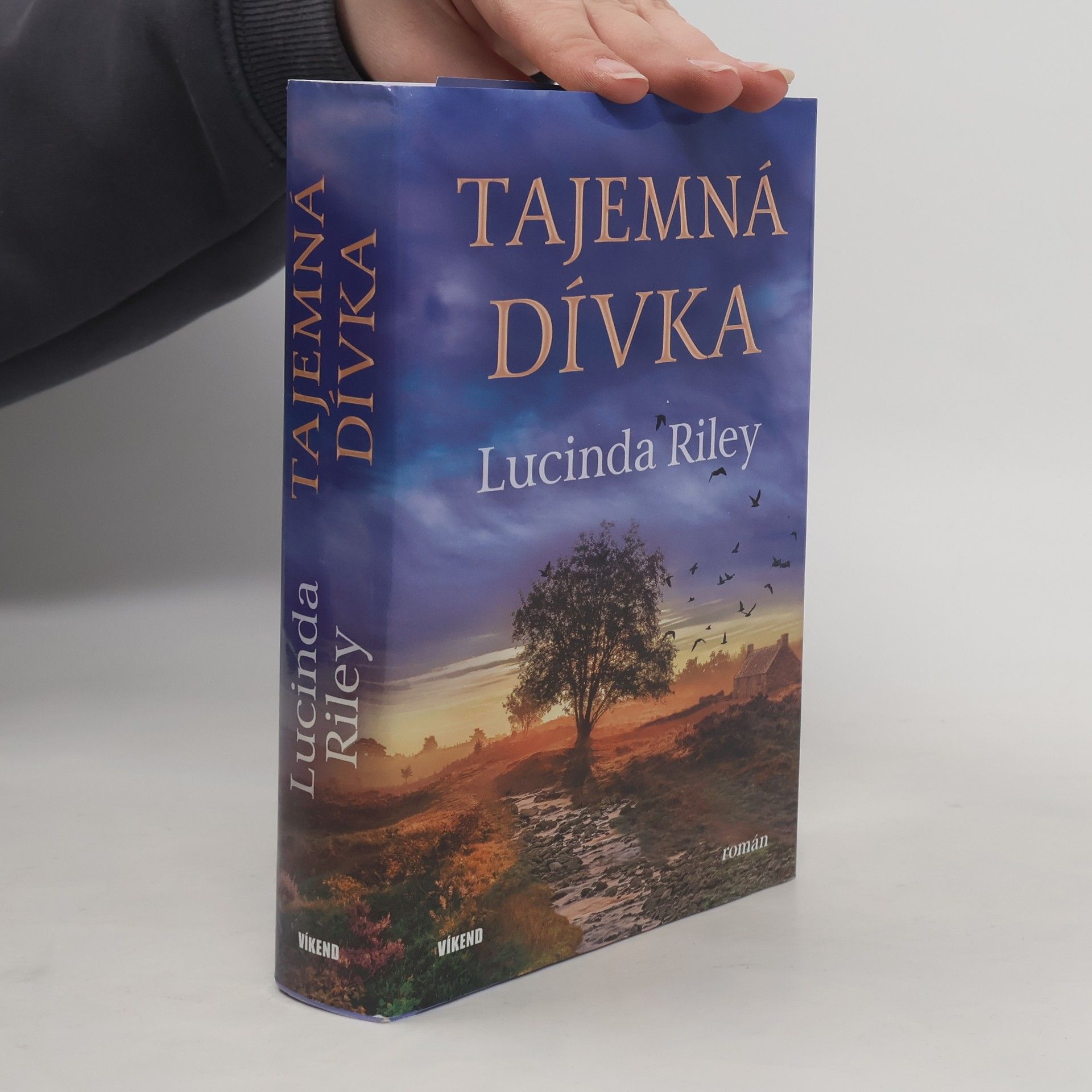 Tajemná dívka