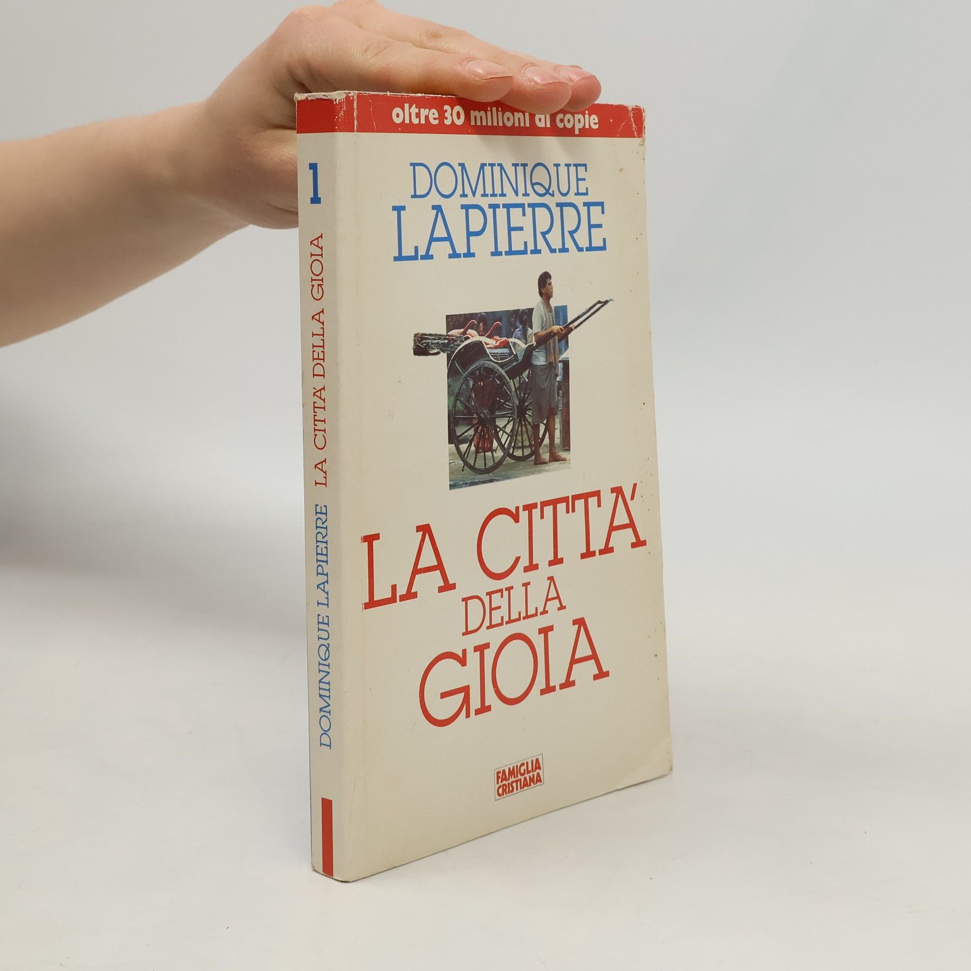 La città della gioia