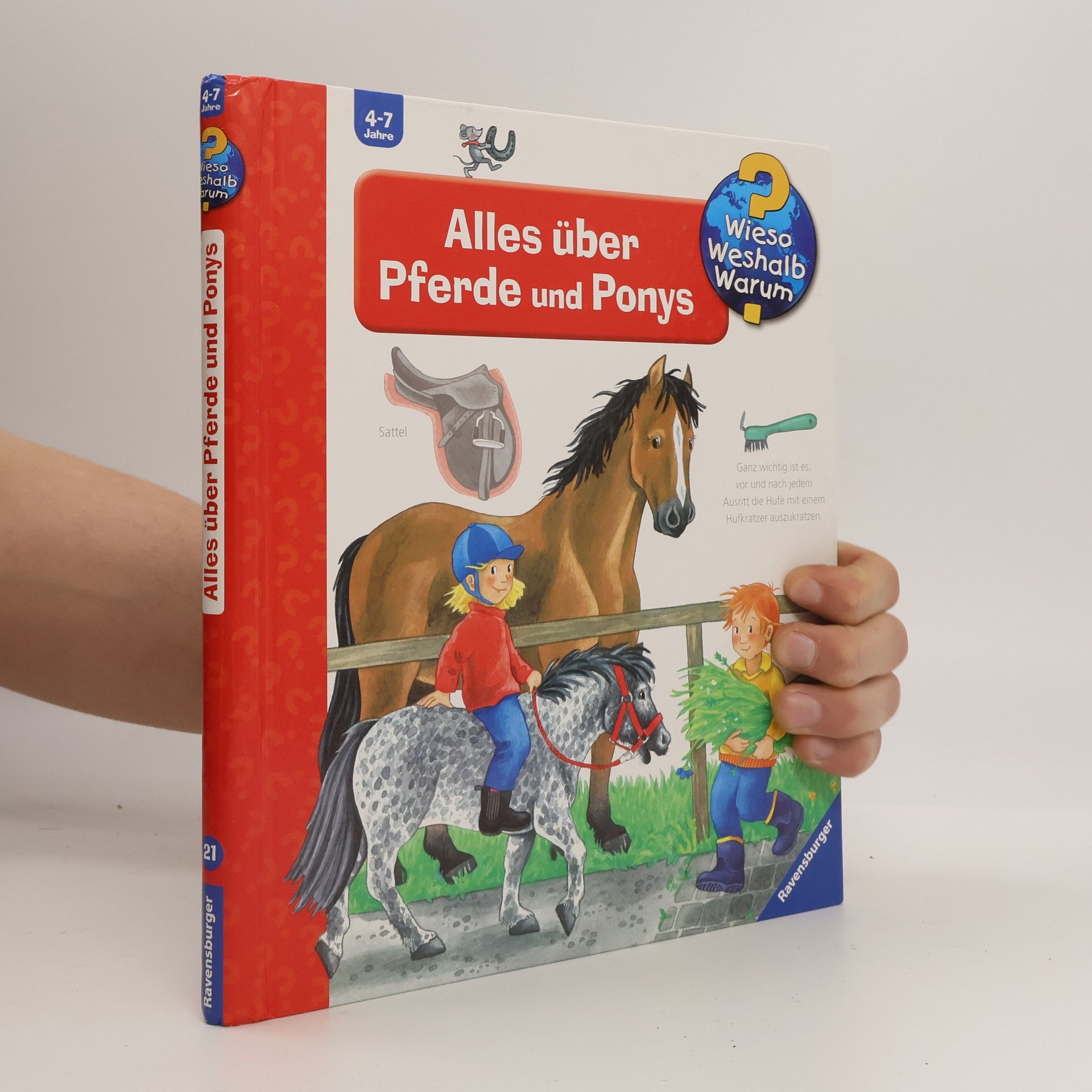 Alles über Pferde und Ponys