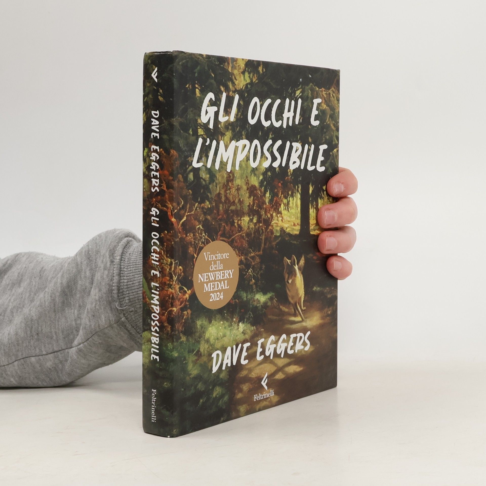 Gli occhi e l'impossibile