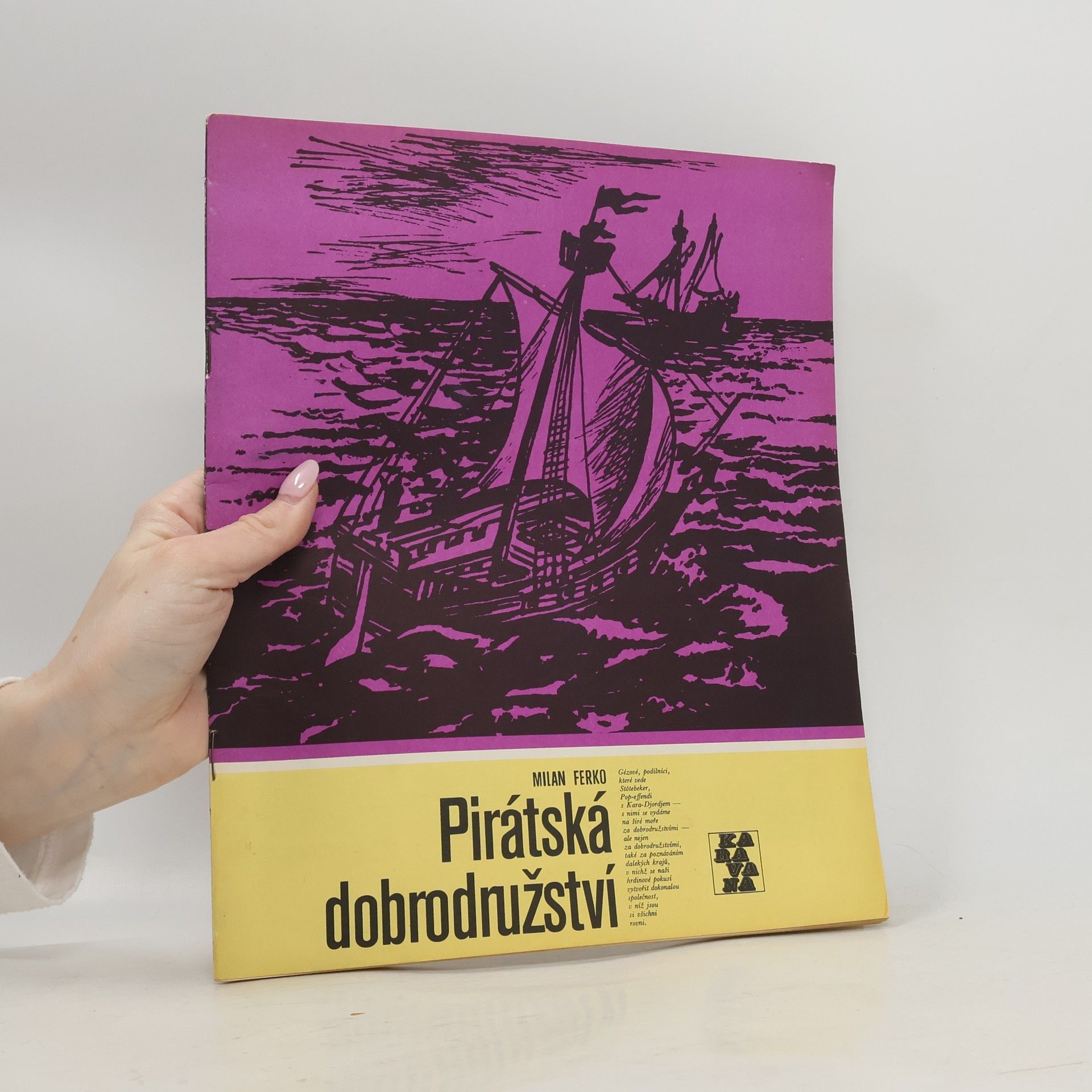 Pirátská dobrodružství