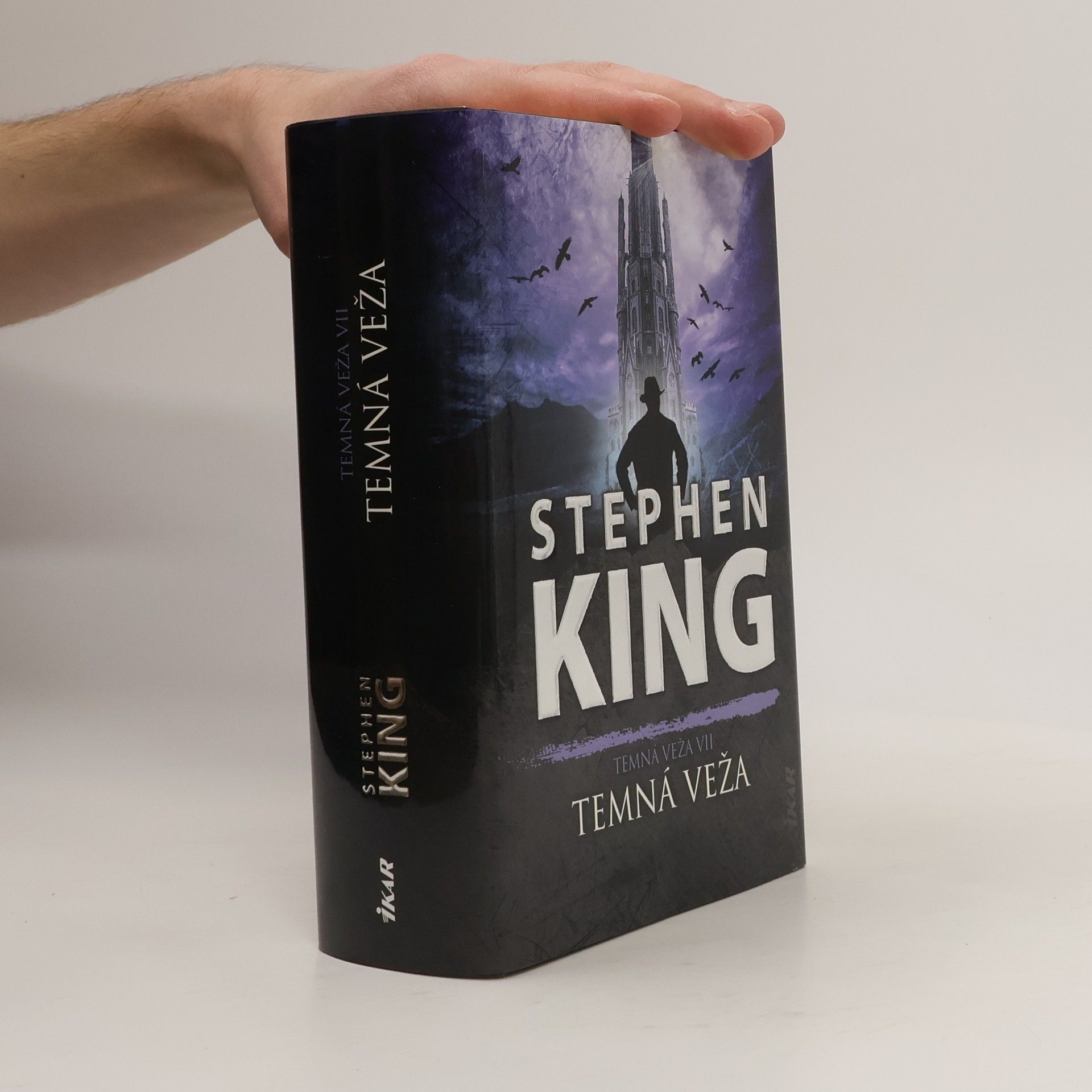 Temná veža VII
