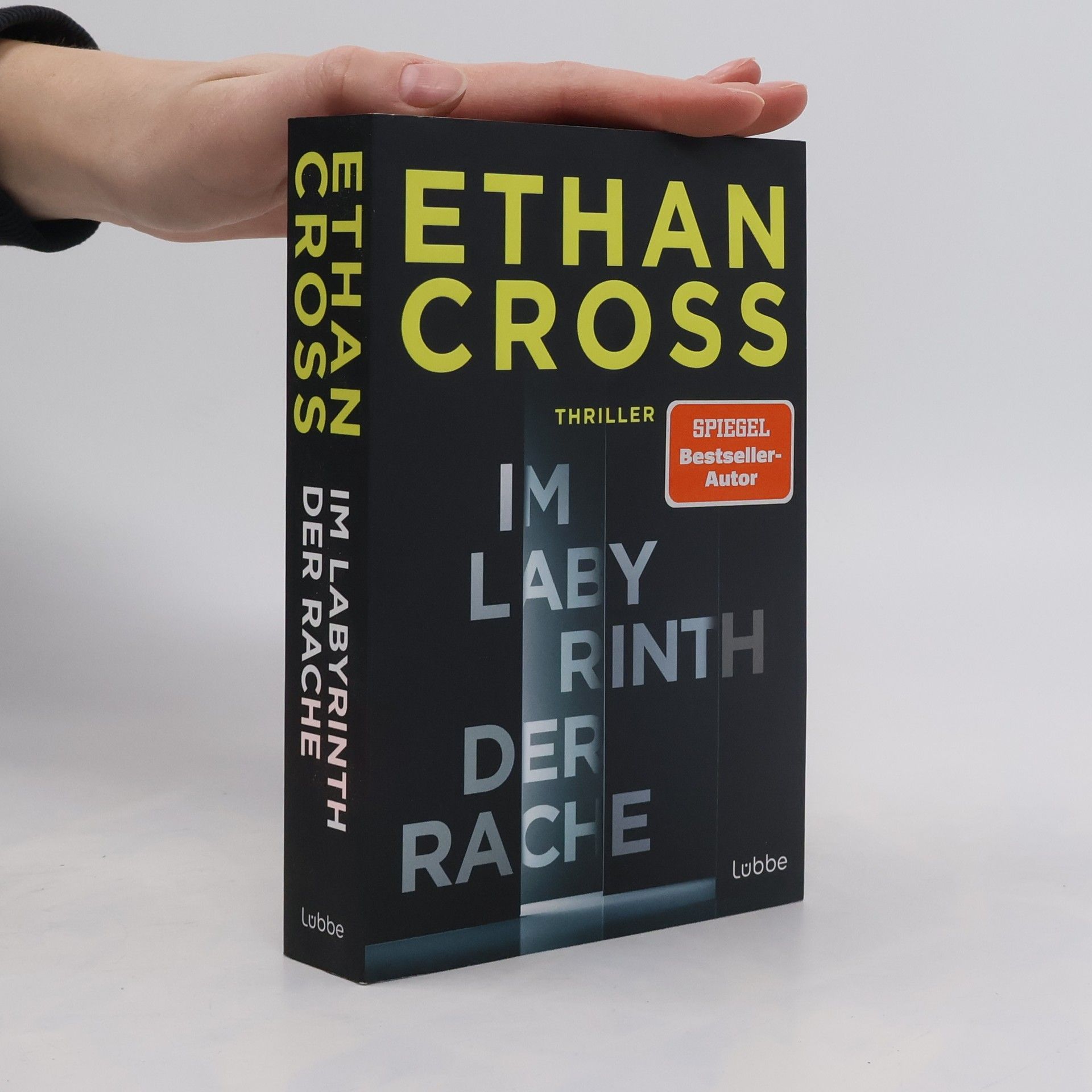 Im Labyrinth der Rache. Thriller