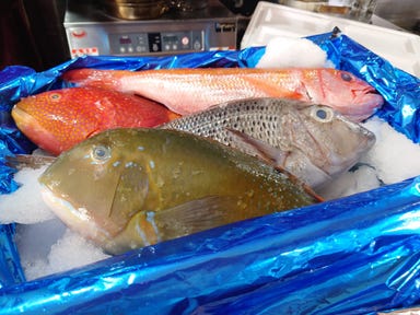 北の恵みと沖縄料理 大衆酒場こりす_国頭漁協直送!