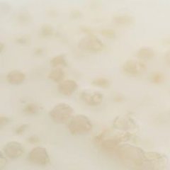 タピオカミルク 横浜中華街 極上フカヒレコース× 宴会個室 横浜酒家_タピオカミルク