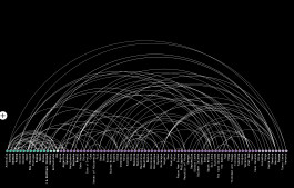 Data Visualization and Open Source Intelligence about Maritime Claims at the UN, 2020 robin-coenen informationdesign