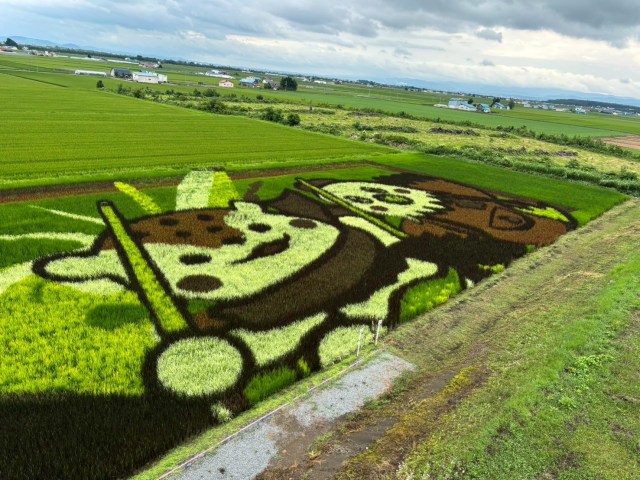 あのマツコさんの次は金メダリスト! 北海道・田んぼアート2025が今年も圧巻! 地元グルメも堪能 あのマツコさんの次は金メダリスト! 北海道・田んぼアート2025が今年も圧巻! 地元グルメも堪能