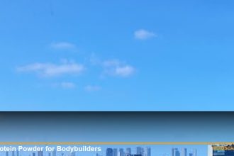 Best Protein Powder for Bodybuilders — RoidsChamp Guide