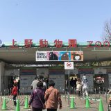 上野動物園の入園口(表門)へ到着。ちょうど12時ぐらいだったので、無料開放日とはいえ並ばずにスムーズに入園