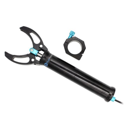 IMG_0799 (1) IMG_0799 (1)