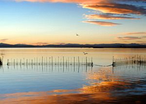 La Albufera de Valencia