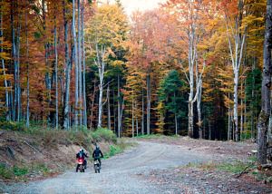 Sierra de Guadarrama