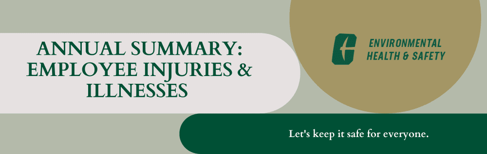 Annual Summary Employee Injuries and Illnesses