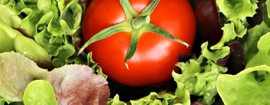 scherzer-online-shop Scherzer Online Shop