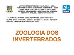 UNIVERSIDADE ESTADUAL DO MARANHÃO – UEMA
CENTRO DE ESTUDOS SUPERIORES DE BACABAL – CESB
DEPARTAMENTO DE CIÊNCIAS EXATAS E N