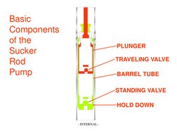 Basic
Components
of the
Sucker
Rod
Pump
PLUNGER
TRAVELING VALVE
BARREL TUBE
STANDING VALVE
HOLD DOWN
- INTERNAL -