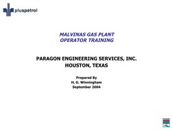 MALVINAS GAS PLANT
OPERATOR TRAINING
PARAGON ENGINEERING SERVICES, INC.
HOUSTON, TEXAS
Prepared By
H. G. Winningham
September