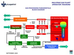 MALVINAS GAS PLANT
OPERATOR TRAINING
SEPTEMBER 2004
DEETHANIZER
NGL Recovery/Gas Rejection
GAS PROCESSING FUNDAMENTALS
BLOCK