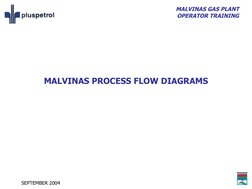 MALVINAS GAS PLANT
OPERATOR TRAINING
SEPTEMBER 2004
MALVINAS PROCESS FLOW DIAGRAMS