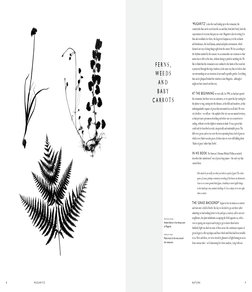 9
N A T U R E
‘ M u g a r i t z ’ is also the road leading up to the restaurant, the
countryside that can be seen from the