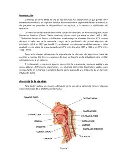 Introducción
El manejo de la vía aérea es uno de los desafíos más importantes al que puede verse
enfrentado un médico en su