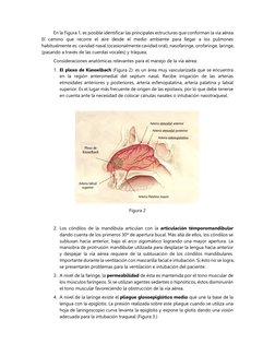 En la Figura 1, es posible identificar las principales estructuras que conforman la vía aérea.
El camino que recorre el aire