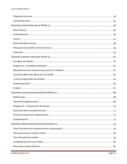 Curso Sanidad Interior
Castillo del Rey La Fe
Página 3
Preguntas comunes .............................................