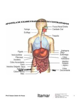 Prof. Itamar Junior de Souza
1
Itamar
Assinado de forma digital por Itamar
DN: c