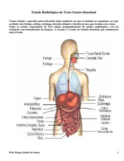 Estudo Radiológico do Trato Gastro-Intestinal
Vamos estudar o aparelho gastro-intestinal numa seqüência em que se
