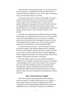 Once this newly oxygenated blood makes its way back to the left
side of your heart, it is pumped into the aorta, the largest