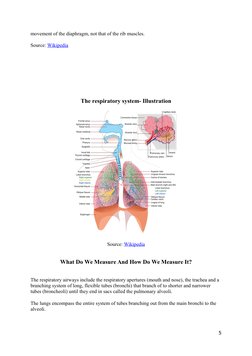 movement of the diaphragm, not that of the rib muscles.
Source: Wikipedia (http://commons.wikimedia.org/wiki/File:Diafragma_a