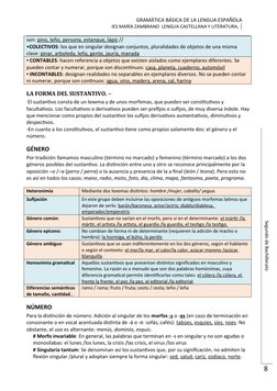 GRAMÁTICA BÁSICA DE LA LENGUA ESPAÑOLA